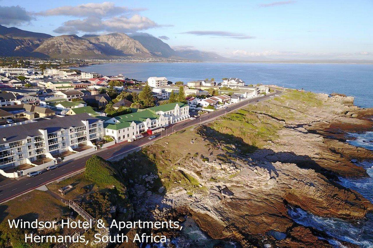 Windsor Self Catering Apartments Hermanus Zewnętrze zdjęcie